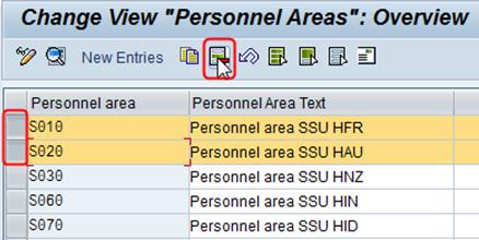 Select Personnel Areas To Delete