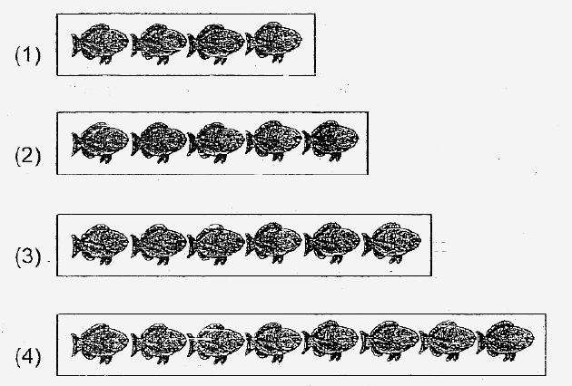 Pictures that show Eight fish